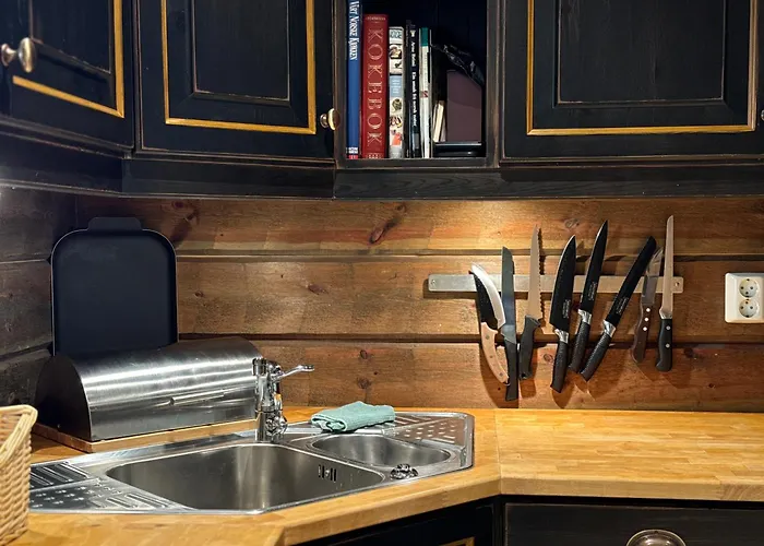 펜션 Bjodnabakkens Historie *